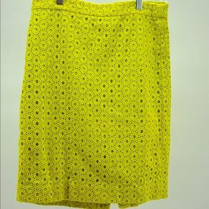 J.Crew Skirt